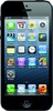 Apple iPhone 5 16GB - Кинель